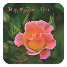 Glücklicherweise immer nach der Rose