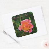 Glücklicherweise immer nach der Rose Quadratischer Aufkleber (Umschlag)