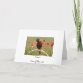 Glückliches Birdday! Karte (Rückseite)