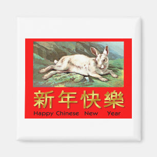 Glückliches Chinesisches Neujahrsfest (weißes Magnet