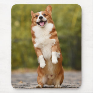 Glückliches Corgi-Welpen-Stehfoto Mousepad