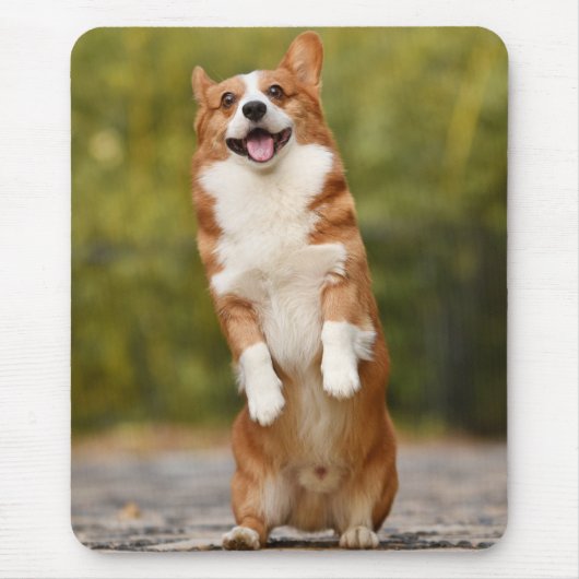 Glückliches Corgi-Welpen-Stehfoto Mousepad (Vorne)