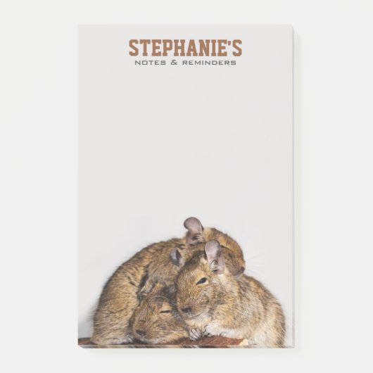 Glückliches Degu in einem Degu Stapel Post-it Klebezettel (Vorderseite)