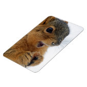 Glückliches Eichhörnchen Magnet (Linke Seite)