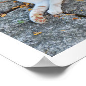 Glückliches Erwachen Poster (Ecke)