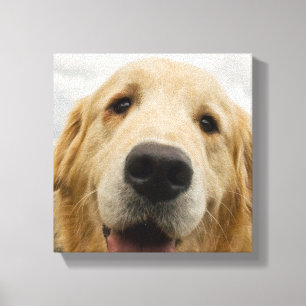 Glückliches golden retriever leinwanddruck