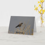 Glückliches Halloween Karte (Gelbe Blume)