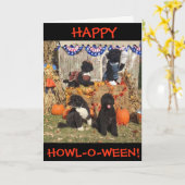 Glückliches Heulen-O-Ween! BO und sonniges - Karte (Gelbe Blume)