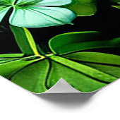 Glückliches Horseshoe und Clover Design Poster (Ecke)