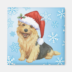 Glückliches Howlidays Norfolk Terrier Magnet