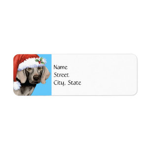 Glückliches Howlidays Weimaraner