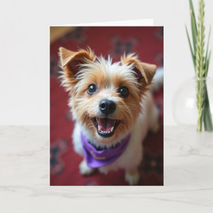 Glückliches Hundehalsband-Geburtstagskarte Karte