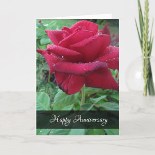 Glückliches Jubiläum Liebe Rote Rose Regentropfen Karte