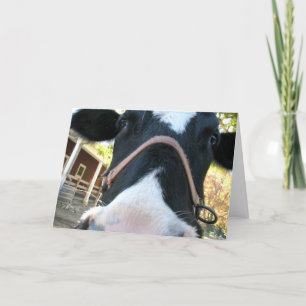 Glückliches MOO-Jahr Feiertagskarte