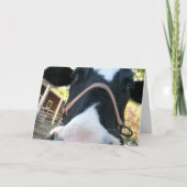 Glückliches MOO-Jahr Feiertagskarte (Vorderseite)