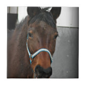 glückliches Pferd Fliese (Vorderseite)