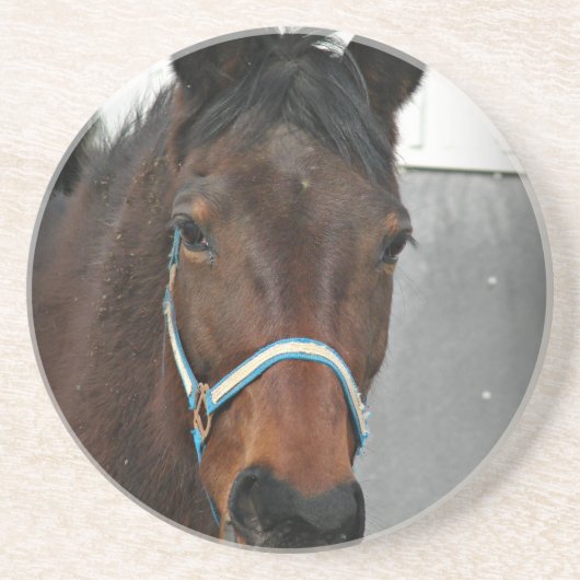 glückliches Pferd Getränkeuntersetzer (Vorne)