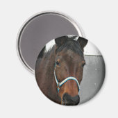 glückliches Pferd Magnet (Vorderseite/Rückseite)