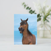 Glückliches Pferd Postkarte (Stehend Vorderseite)