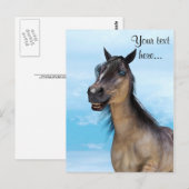 Glückliches Pferd Postkarte (Vorne/Hinten)