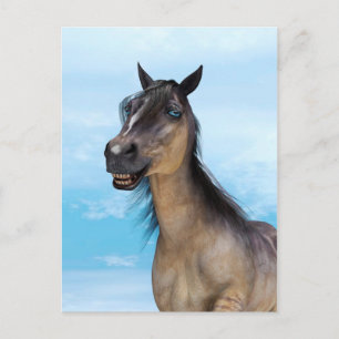 Glückliches Pferd Postkarte