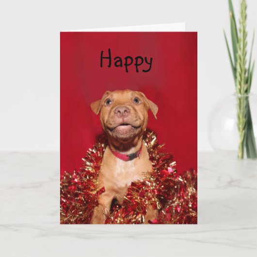 Glückliches pitbull Welpe Weihnachten (Vorderseite)