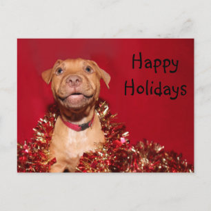 Glückliches pitbull Welpe Weihnachten