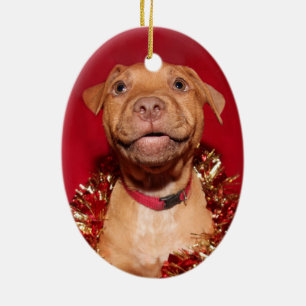 Glückliches pitbull Welpe Weihnachten Keramik Ornament