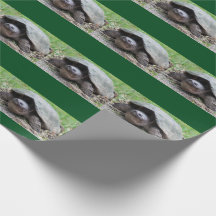 Glückliches reißende Schildkröte-Packpapier