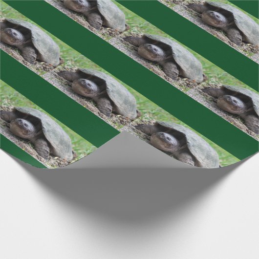 Glückliches reißende Schildkröte-Packpapier Geschenkpapier (Ecke)