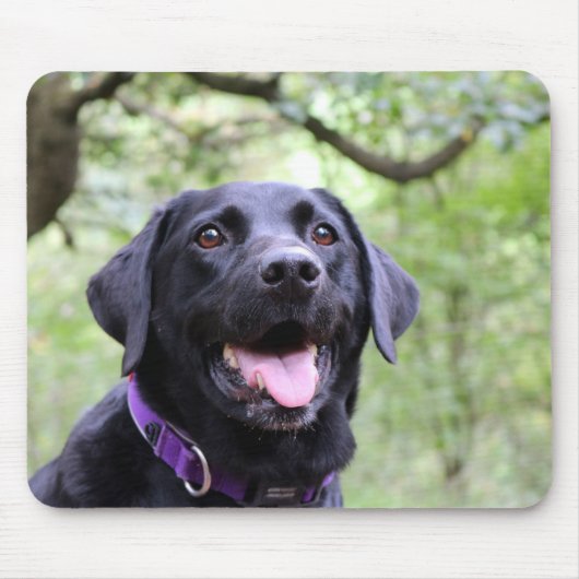 Glückliches schwarzes Labrador Mousepad (Vorne)