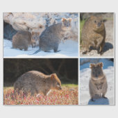 Glückliches und niedliches quokka von Australien Geschenkpapier (Flach)
