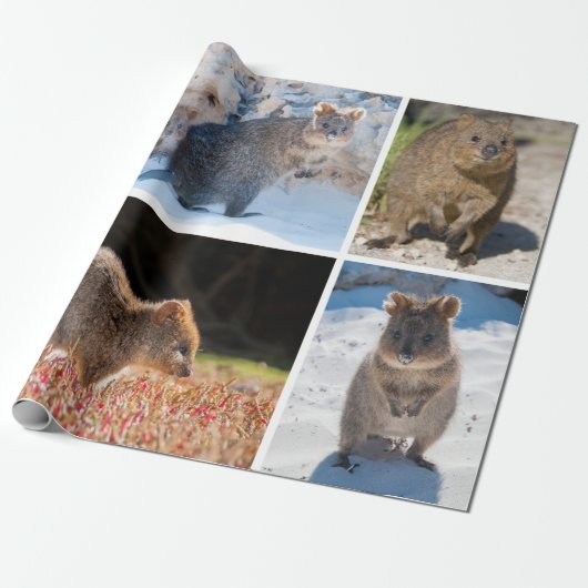 Glückliches und niedliches quokka von Australien Geschenkpapier (Ungerollt)