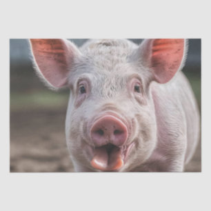 Glückliches weißes Schwein reckt Zunge heraus, Seidenpapier