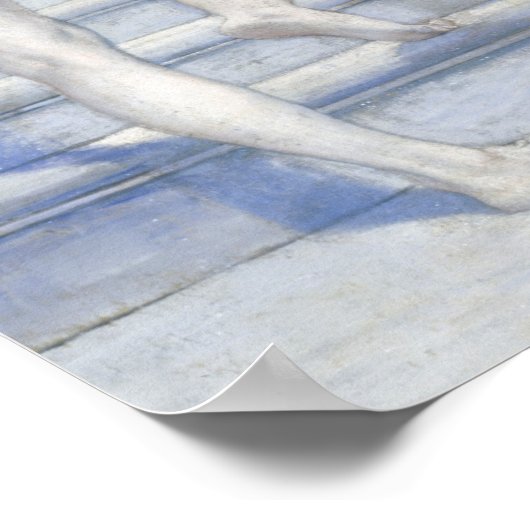 Glücksbringer (1896) poster (Ecke)