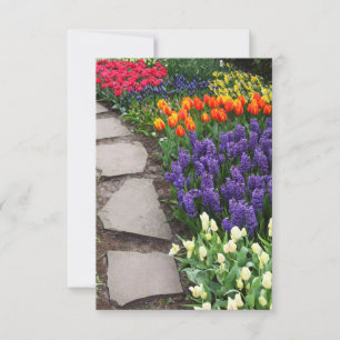 Glückselige Blüten