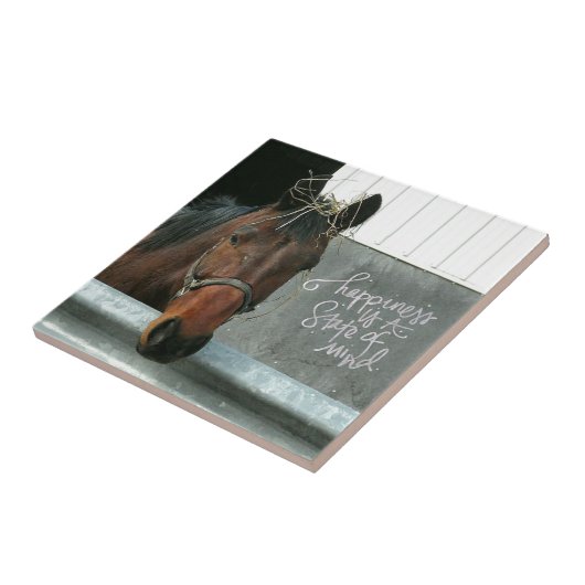 Glückspferd Fliese (Seite)