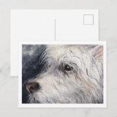 Glückspilz Postkarte (Vorne/Hinten)