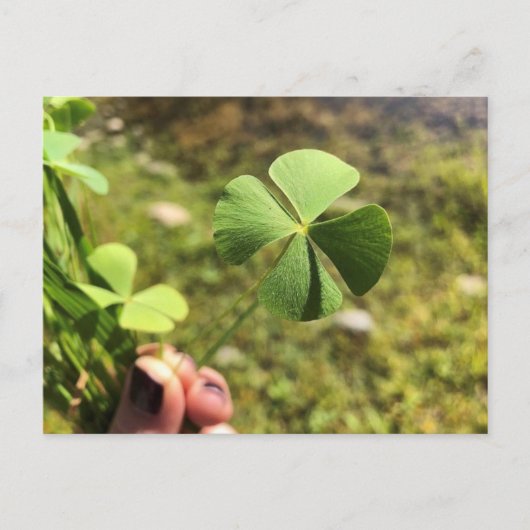 Glückstag Postkarte (Vorderseite)