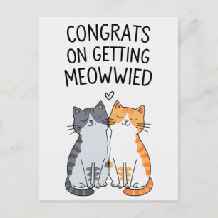 Glückwunsch auf Meowwied Funny Cat Hochzeit Postkarte