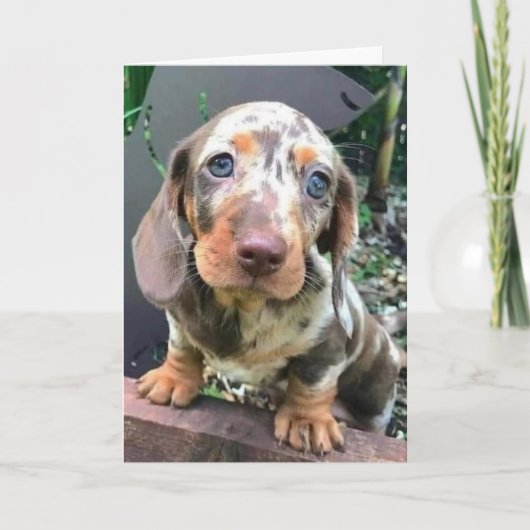 *GLÜCKWUNSCH AUF NEUER STELLE/WERDEN IHNEN FEHLEN* KARTE (Vorderseite)