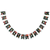 Glückwunsch der Graduierungspartei Wimpelkette (Alle)