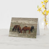 Glückwunsch des neuen Vet-Abschlusses - DVM-Ranch Karte (Gelbe Blume)