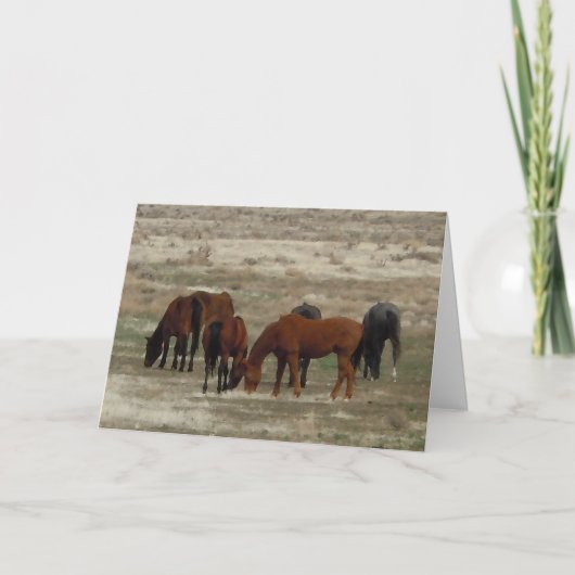 Glückwunsch des neuen Vet-Abschlusses - DVM-Ranch Karte (Vorderseite)