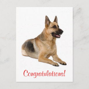 Glückwunsch Deutsche-Schäferhund-Welpen-Hund-Postk Postkarte