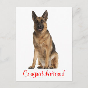 Glückwunsch Deutsche-Schäferhund-Welpen-Hund-Postk Postkarte