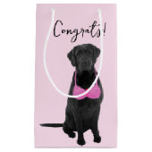 Glückwunsch, die zur Brustkrebserkrankung beitrage Kleine Geschenktüte (Vorderseite)