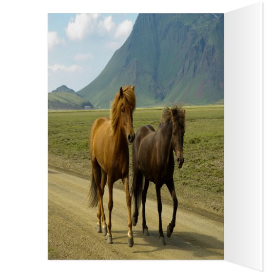 Glückwunsch Feierlichkeiten Gruß (Innen (Links))