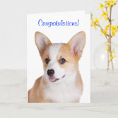 Glückwunsch Pembroke Welsh Corgi Grußkarte Karte (Gelbe Blume)