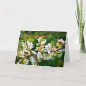 Glückwunsch - Sun-Dappled Spring Hawthorn Karte (Vorderseite)